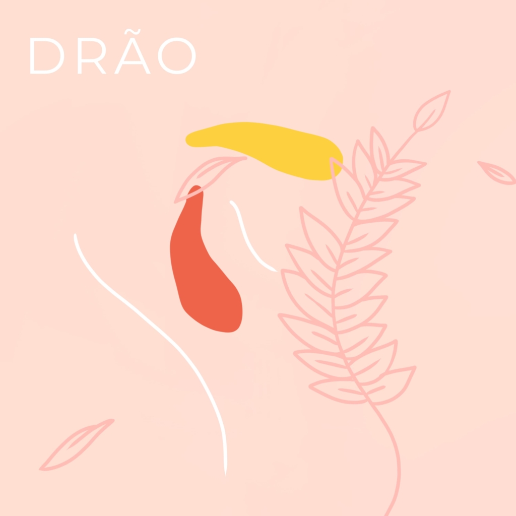 Drão Capa 1